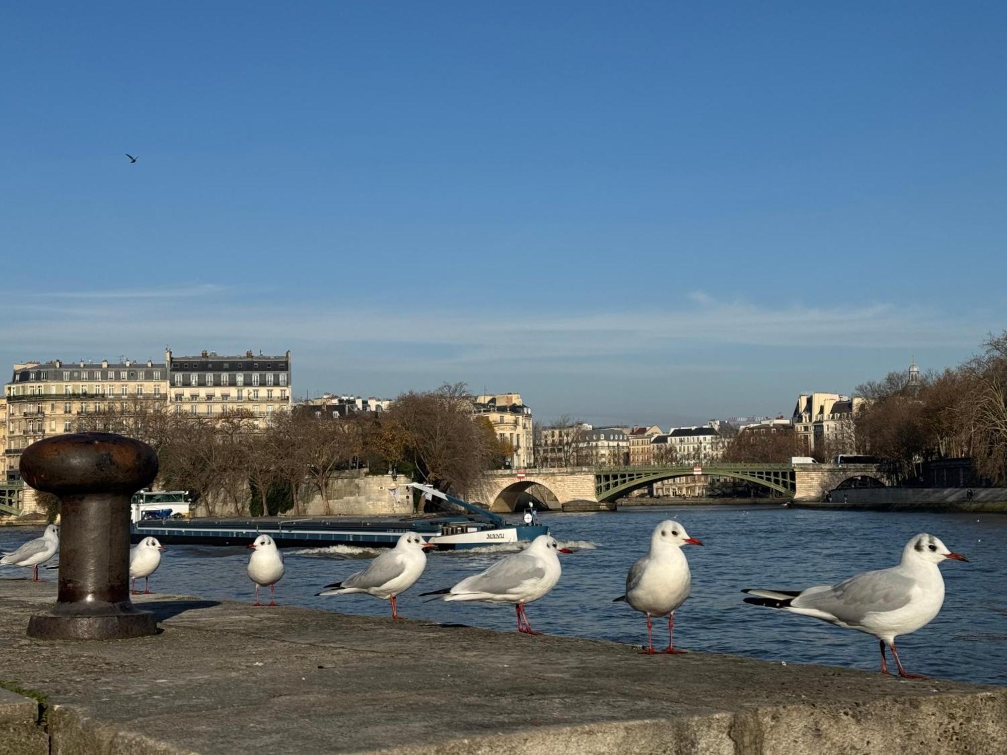 New Private Apartment Paris City Center - Les Arenes Pantheon Notre-Dame Jussieu Jardin Des Plantes Quai De Seine Exteriör bild